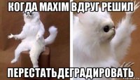 когда maxim вдруг решил перестатьдеградировать