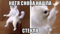 котя снова нашла стекло