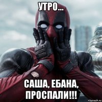 утро... саша, ебана, проспали!!!