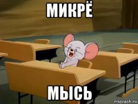 микрё мысь