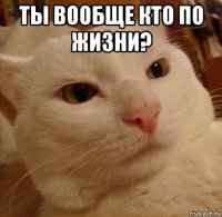 ты вообще кто по жизни? 