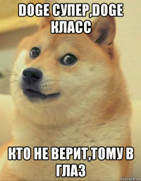 doge супер,doge класс кто не верит,тому в глаз