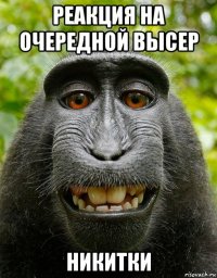 реакция на очередной высер никитки