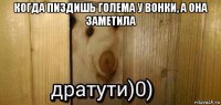 когда пиздишь голема у вонки, а она заметила 