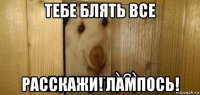 тебе блять все расскажи! лампось!