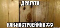 дратути как настроениня???