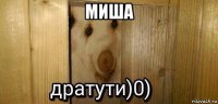 миша 