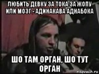 любить девку за тока за жопу или мозг - адинакава аднабока шо там орган, шо тут орган