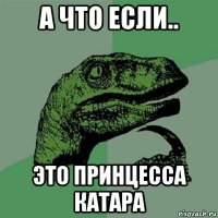 а что если.. это принцесса катара