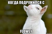 когда подружился с flowey