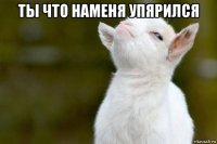 ты что наменя упярился 