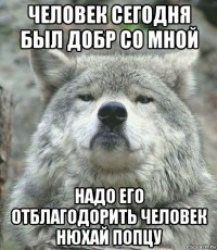 человек сегодня был добр со мной надо его отблагодорить человек нюхай попцу