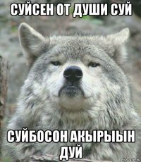 суйсен от души суй суйбосон акырыын дуй