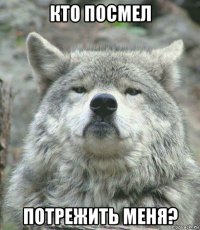 кто посмел потрежить меня?