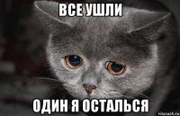 все ушли один я осталься