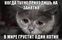 когда ты не приходишь на занятия в мире грустит один котик