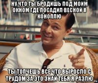 ну что ты бродишь под моим окном где посадил весной я коноплю ты топчешь все что выросло с трудом за это знай тебя я разлю