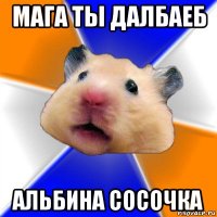 мага ты далбаеб альбина сосочка