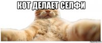 кот делает селфи 