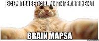 всем привет с вами тигра и я ибил brain mapsa