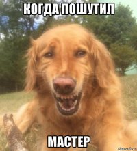 когда пошутил мастер