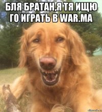 бля братан,я тя ищю го играть в war.ma 