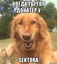 когда ты топ донатер у sektora