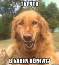 ты что в банку пёрнул?