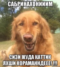 сабринахонииим сизи жуда каттик яхши кораманндеее! !!!