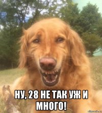  ну, 28 не так уж и много!