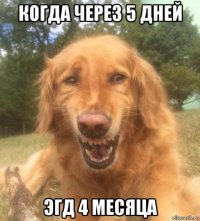 когда через 5 дней эгд 4 месяца