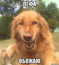 пгфа обожаю