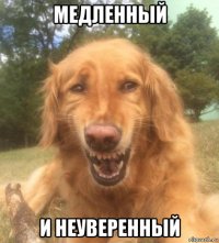 медленный и неуверенный