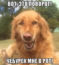 вот, это поворот! чебурек мне в рот!