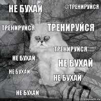 не бухай не бухай тренируйся не бухай не бухай @тренируйся не бухай тренируйся не бухай тренируйся