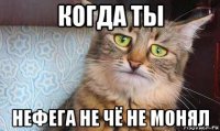 когда ты нефега не чё не монял