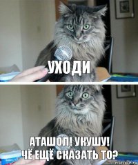 Уходи Аташол! укушу!
Чё ещё сказать то?