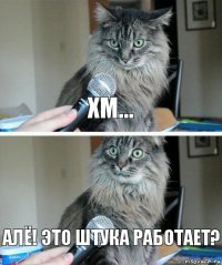 хм... АЛЁ! ЭТО ШТУКА РАБОТАЕТ?