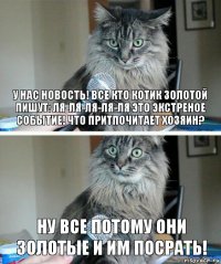 у нас новость! все кто котик золотой пишут: ля-ля-ля-ля-ля это экстреное событие! что притпочитает хозяин? ну все потому они золотые и им посрать!