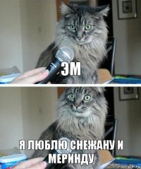 Эм Я люблю снежану и меринду