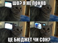 шо? я не поняв це бюджет чи сон?