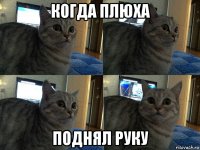 когда плюха поднял руку