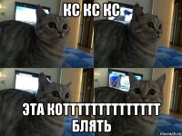 кс кс кс эта котттттттттттттт блять