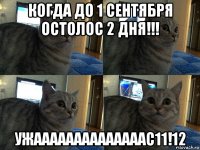 когда до 1 сентября остолос 2 дня!!! ужаааааааааааааас11!12