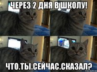 через 2 дня в школу! что.ты.сейчас.сказал?