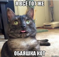 я всё тот же обаяшка кот