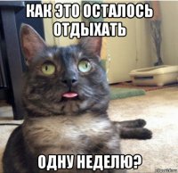 как это осталось отдыхать одну неделю?