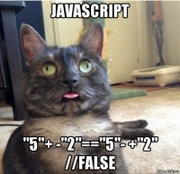 javascript "5"+ -"2"=="5"- +"2" //false