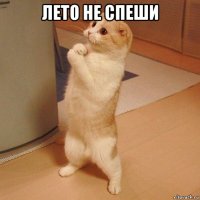 лето не спеши 