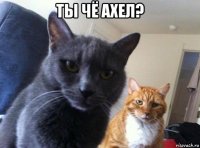 ты чё ахел? 